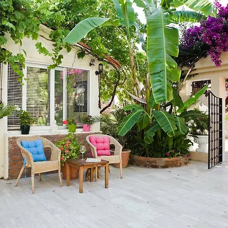 Lejlighedshotel Merve Apartments, Your From In Bodrum, Street Cats Frequent The Property, Not Have Balconies , Ground Floor Have Terrace With Table And Chairs Bodrum