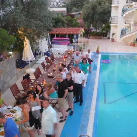 Lejlighedshotel Merve Apartments, Your From In Bodrum, Street Cats Frequent The Property, Not Have Balconies , Ground Floor Have Terrace With Table And Chairs Bodrum