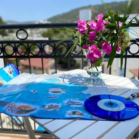 Merve Apartments, Your From In Bodrum, Street Cats Frequent The Property, Not Have Balconies , Ground Floor Have Terrace With Table And Chairs Aparthotel Bodrum