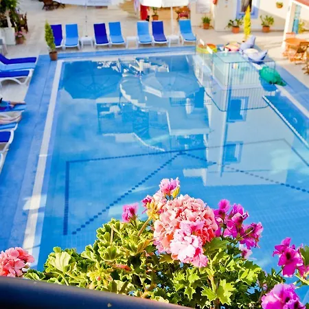 Apartahotel Merve Apartments, Your From In Bodrum, Street Cats Frequent The Property, Not Have Balconies , Ground Floor Have Terrace With Table And Chairs