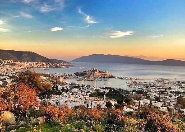 Merve Apartments, Your From In Bodrum, Street Cats Frequent The Property, Not Have Balconies , Ground Floor Have Terrace With Table And Chairs