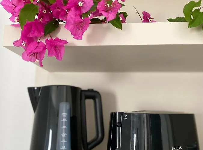 Merve Apartments, Your From In Bodrum, Street Cats Frequent The Property, Not Have Balconies , Ground Floor Have Terrace With Table And Chairs Ξενοδοχείο με διαμερίσματα Αλικαρνασσός