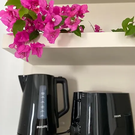 Merve Apartments, Your From In Bodrum, Street Cats Frequent The Property, Not Have Balconies , Ground Floor Have Terrace With Table And Chairs Hotel apartamentowy Bodrum