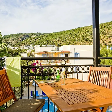 Merve Apartments, Your From In Bodrum, Street Cats Frequent The Property, Not Have Balconies , Ground Floor Have Terrace With Table And Chairs