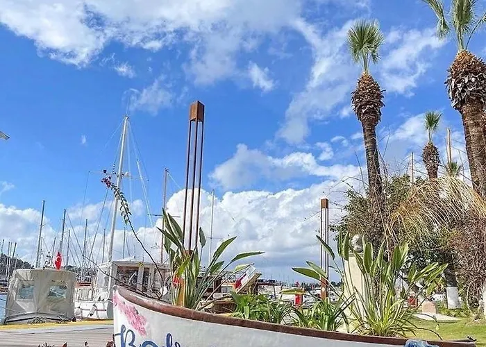 Appart hôtel Merve Apartments, Your From In Bodrum, Street Cats Frequent The Property, Not Have Balconies , Ground Floor Have Terrace With Table And Chairs Bodrum