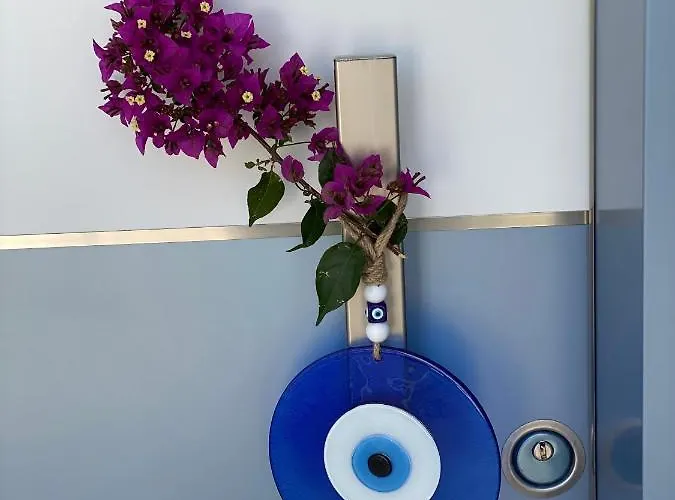 Appart hôtel Merve Apartments, Your From In Bodrum, Street Cats Frequent The Property, Not Have Balconies , Ground Floor Have Terrace With Table And Chairs Bodrum