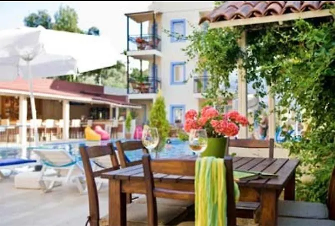Merve Apartments, Your From In Bodrum, Street Cats Frequent The Property, Not Have Balconies , Ground Floor Have Terrace With Table And Chairs Bodrum