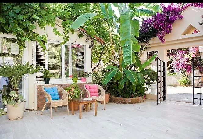 Merve Apartments, Your From In Bodrum, Street Cats Frequent The Property, Not Have Balconies , Ground Floor Have Terrace With Table And Chairs