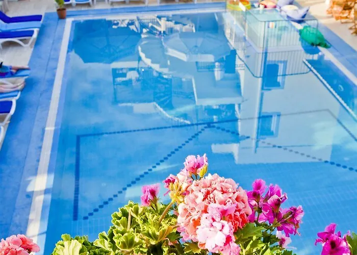 Appart hôtel Merve Apartments, Your From In Bodrum, Street Cats Frequent The Property, Not Have Balconies , Ground Floor Have Terrace With Table And Chairs