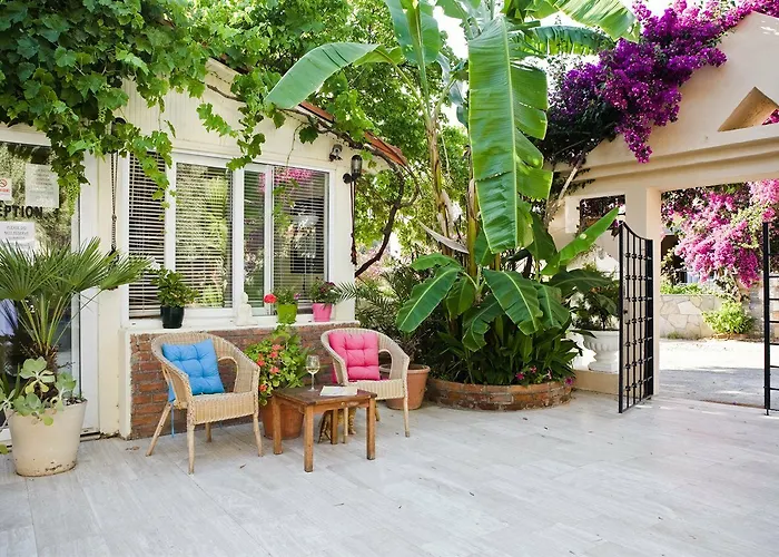 Appart hôtel Merve Apartments, Your From In Bodrum, Street Cats Frequent The Property, Not Have Balconies , Ground Floor Have Terrace With Table And Chairs Bodrum