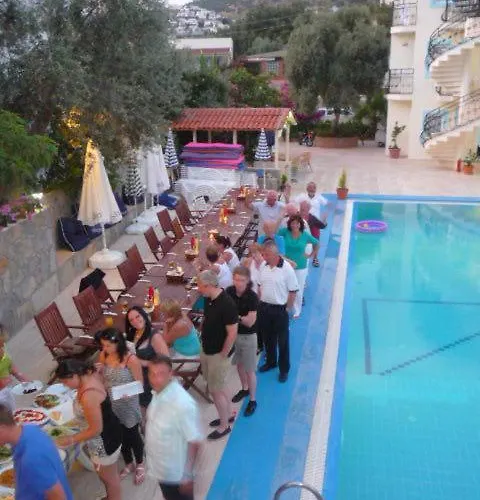 Appart hôtel Merve Apartments, Your From In Bodrum, Street Cats Frequent The Property, Not Have Balconies , Ground Floor Have Terrace With Table And Chairs Bodrum