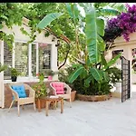 Merve Apartments, Your From In Bodrum, Street Cats Frequent The Property, Not Have Balconies , Ground Floor Have Terrace With Table And Chairs