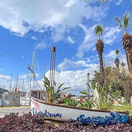 Lägenhetshotell Merve Apartments, Your From In Bodrum, Street Cats Frequent The Property, Not Have Balconies , Ground Floor Have Terrace With Table And Chairs Bodrum