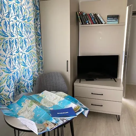 Lägenhetshotell Merve Apartments, Your From In Bodrum, Street Cats Frequent The Property, Not Have Balconies , Ground Floor Have Terrace With Table And Chairs