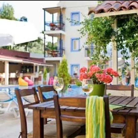 Merve Apartments, Your From In Bodrum, Street Cats Frequent The Property, Not Have Balconies , Ground Floor Have Terrace With Table And Chairs בודרום